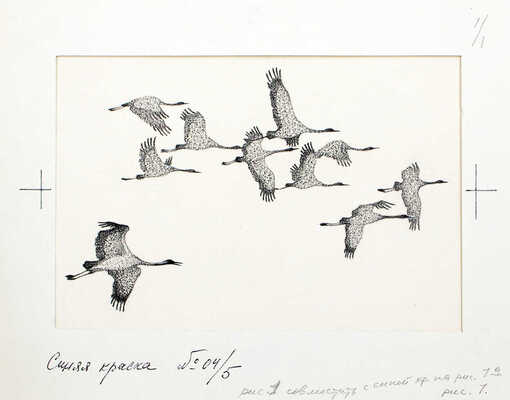 Кузнецов Леонид Трофимович. Макет из 27 иллюстраций и книга К.Д. Ушинского «Рассказы и сказки» (М.: Дет. лит., 1975)